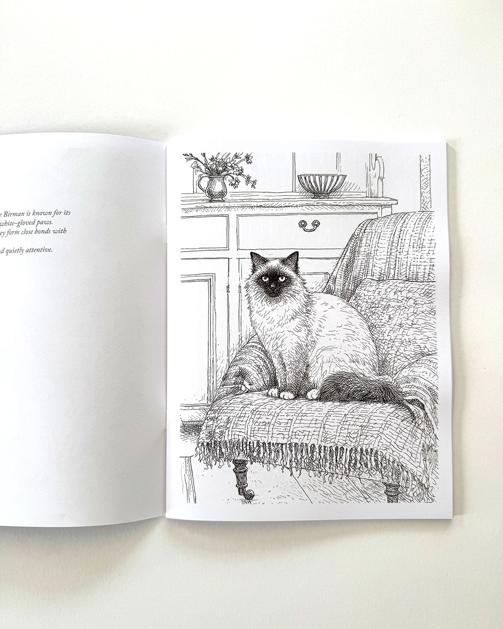 Cats - Large Format Colouring Book