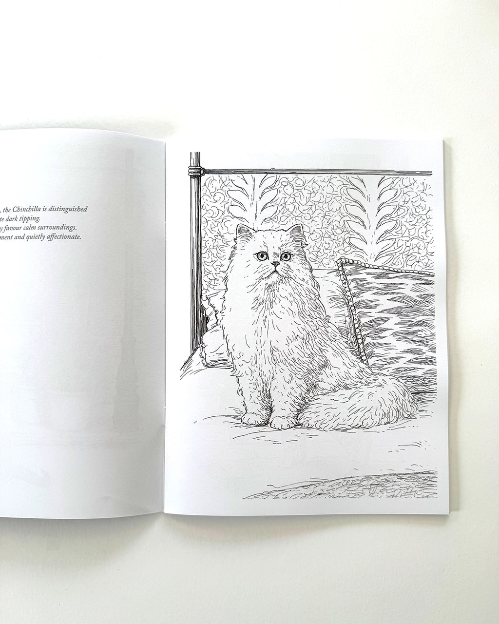 Cats - Large Format Colouring Book
