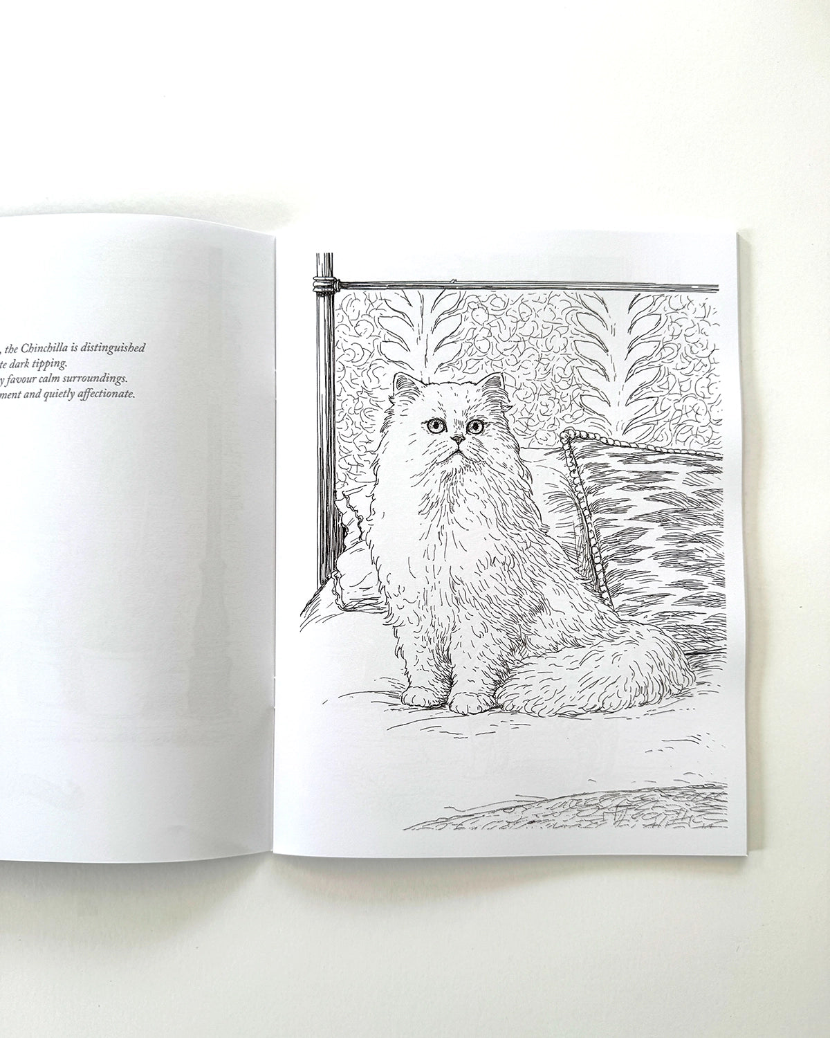 Cats - Large Format Colouring Book