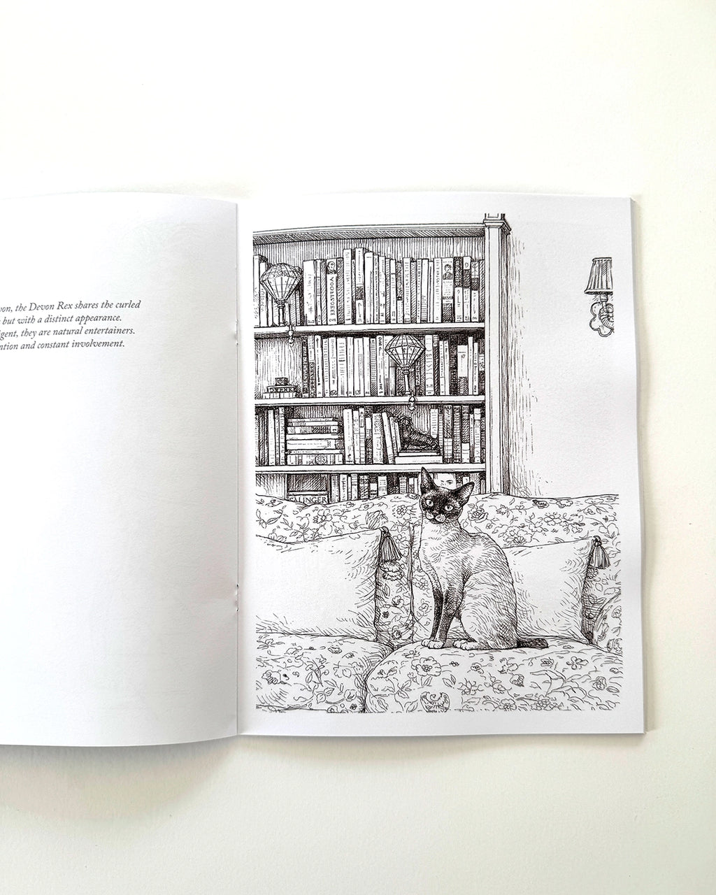 Cats - Large Format Colouring Book