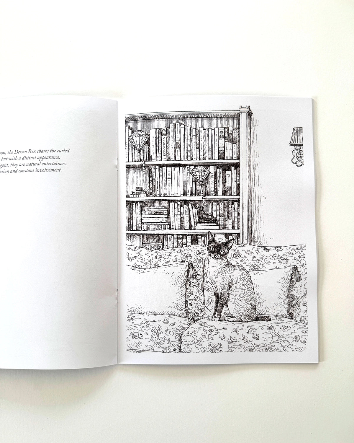 Cats - Large Format Colouring Book