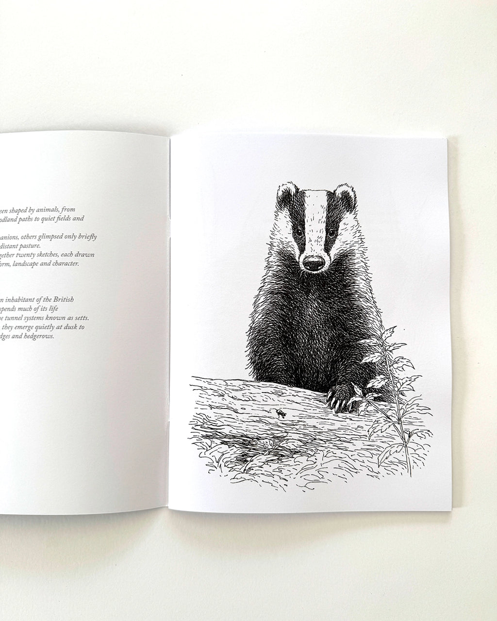 Country - Large Format Colouring Book
