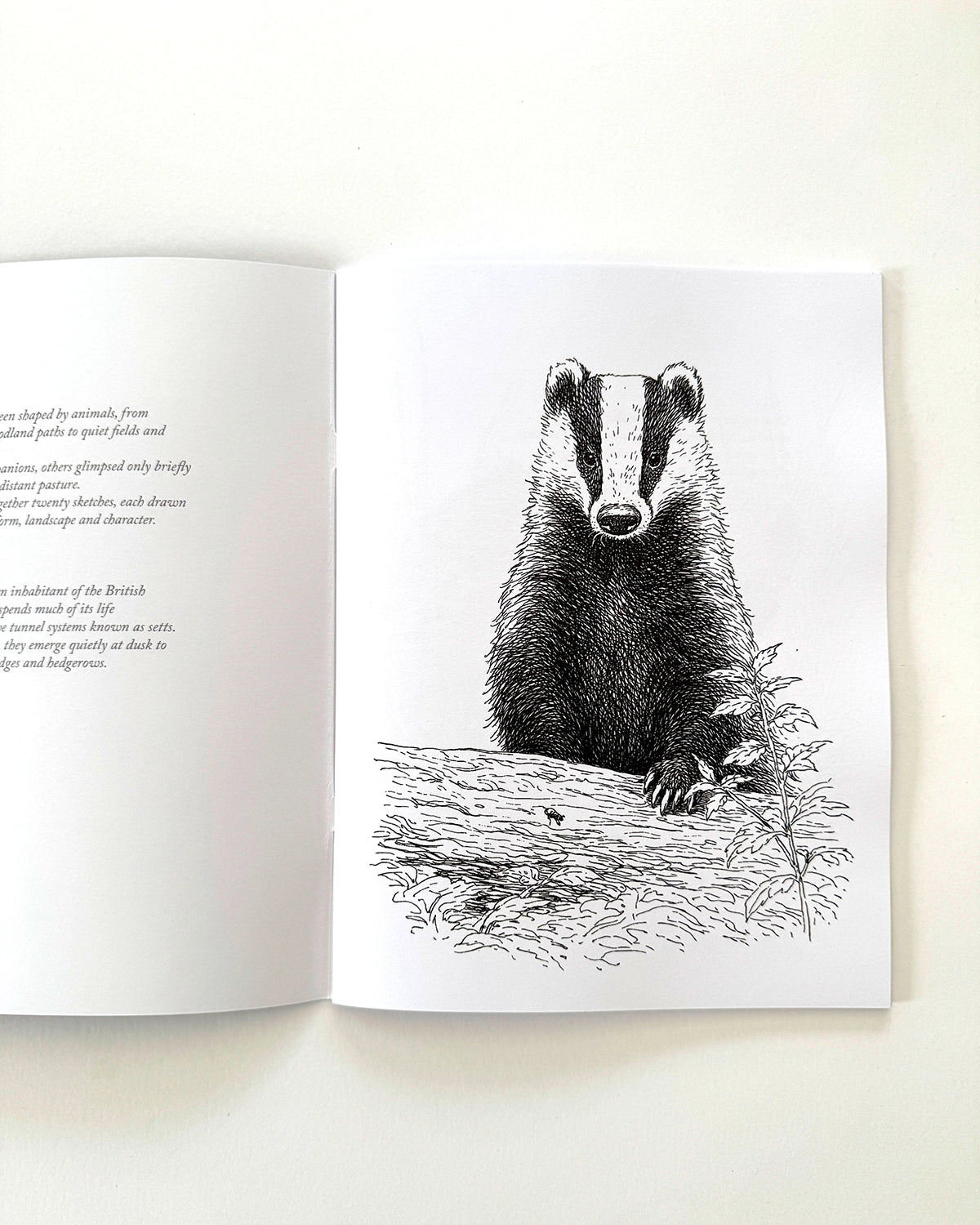 Country - Large Format Colouring Book