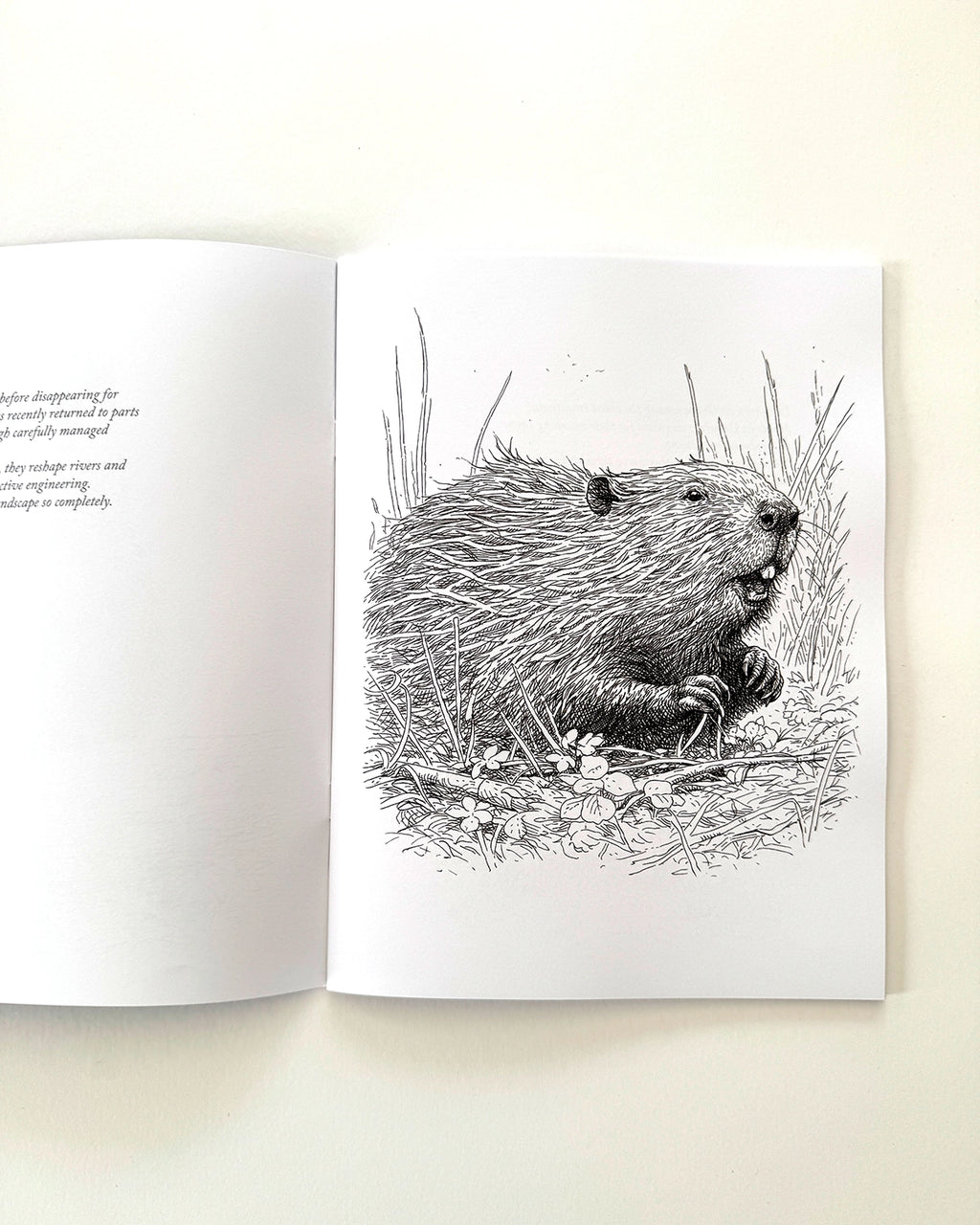 Country - Large Format Colouring Book