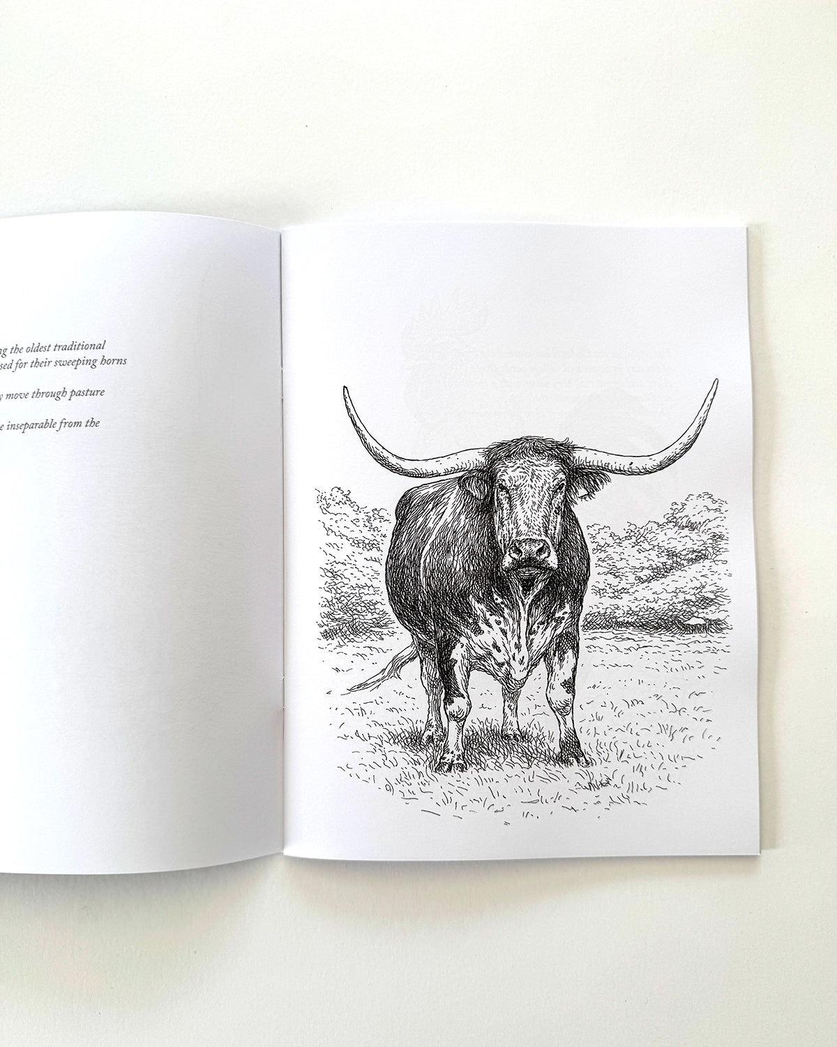 Country - Large Format Colouring Book