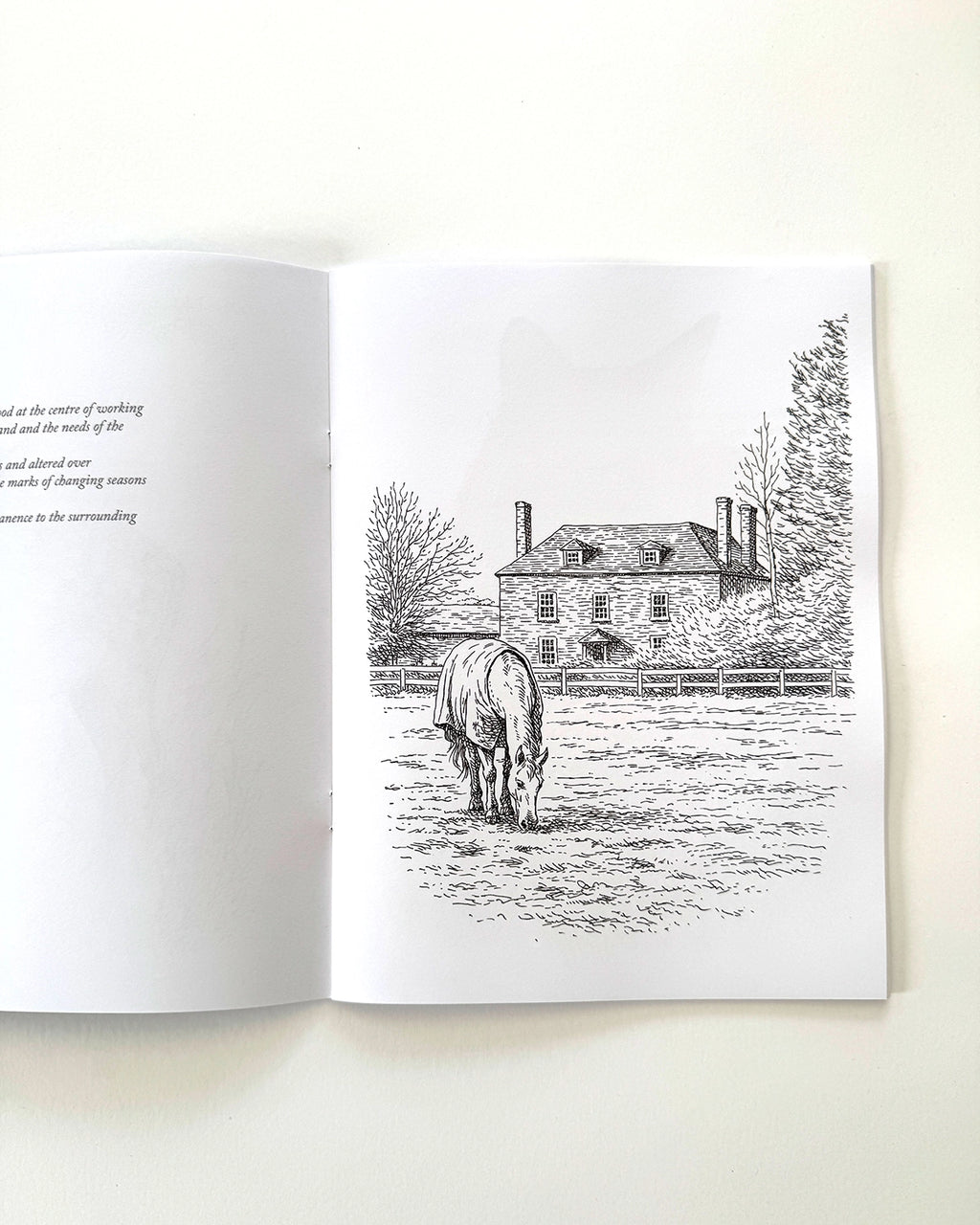 Country - Large Format Colouring Book