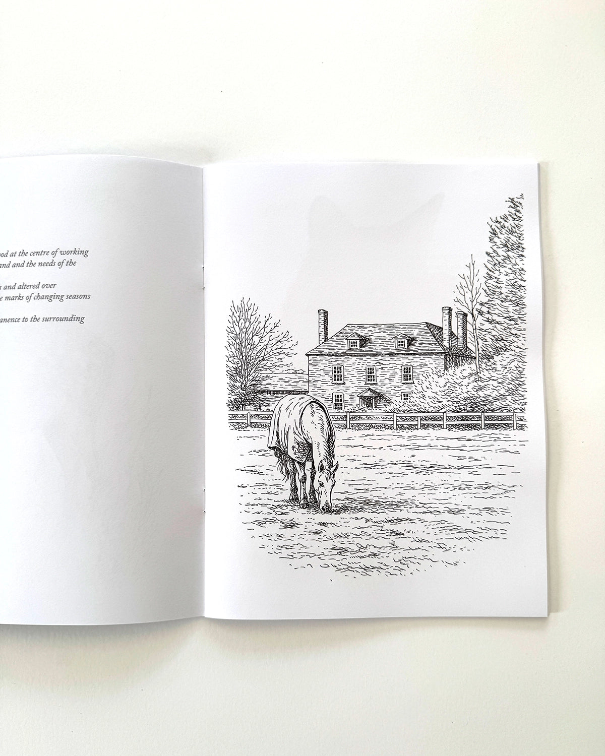 Country - Large Format Colouring Book