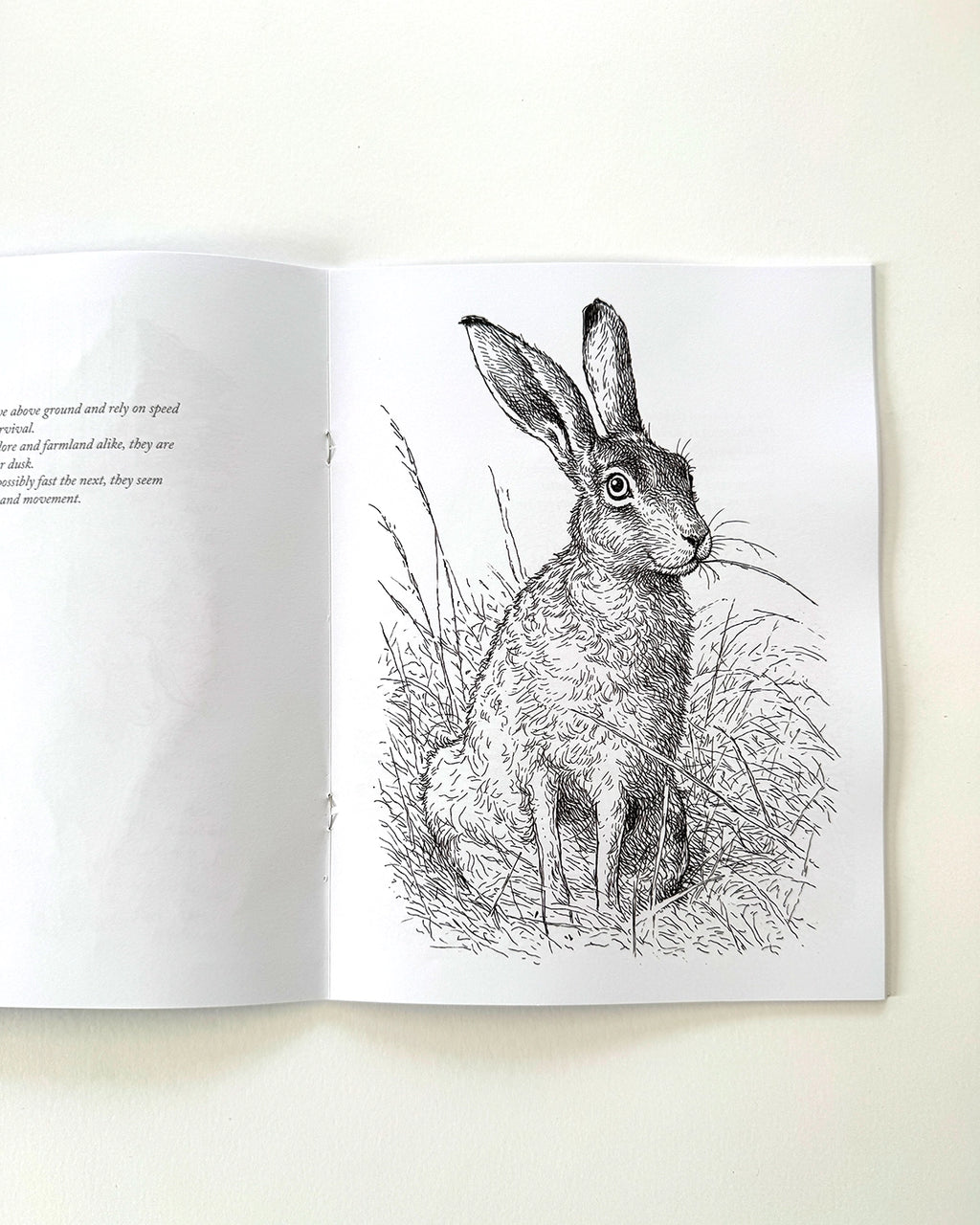 Country - Large Format Colouring Book