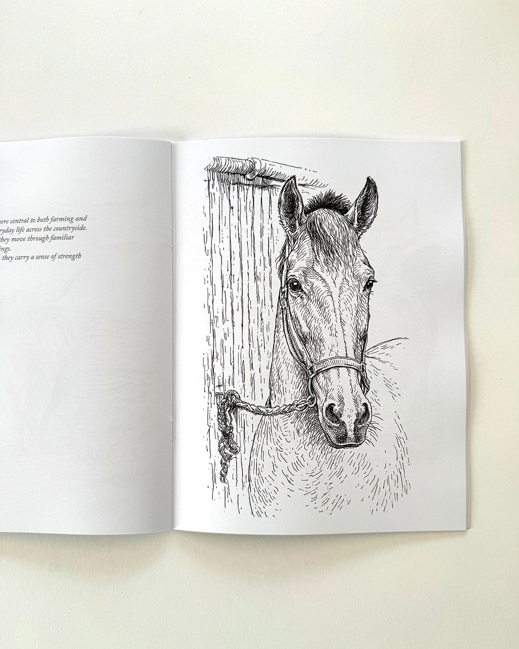Country - Large Format Colouring Book