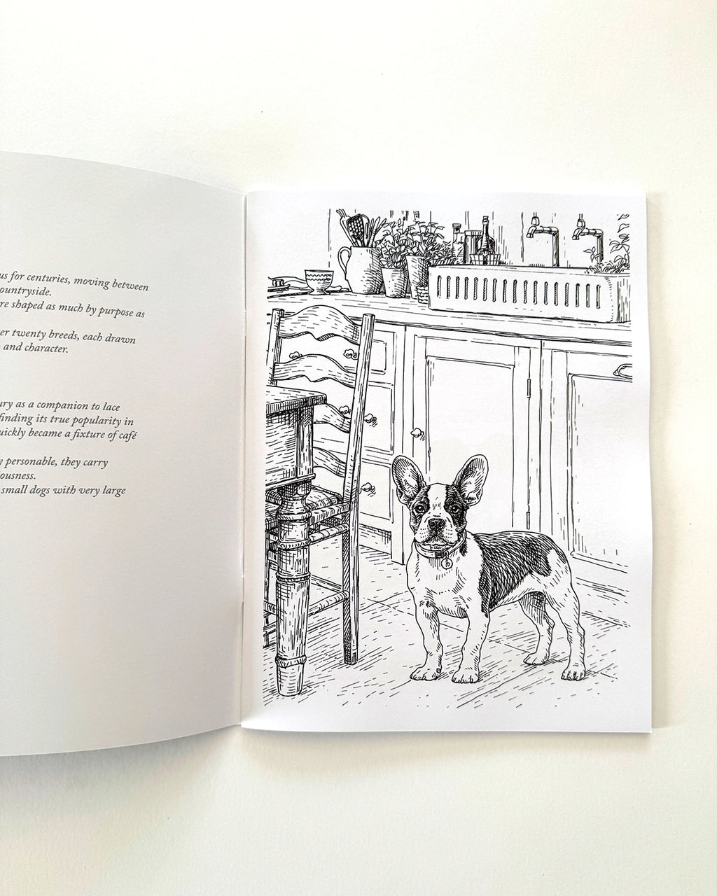 Dogs - Large Format Colouring Book