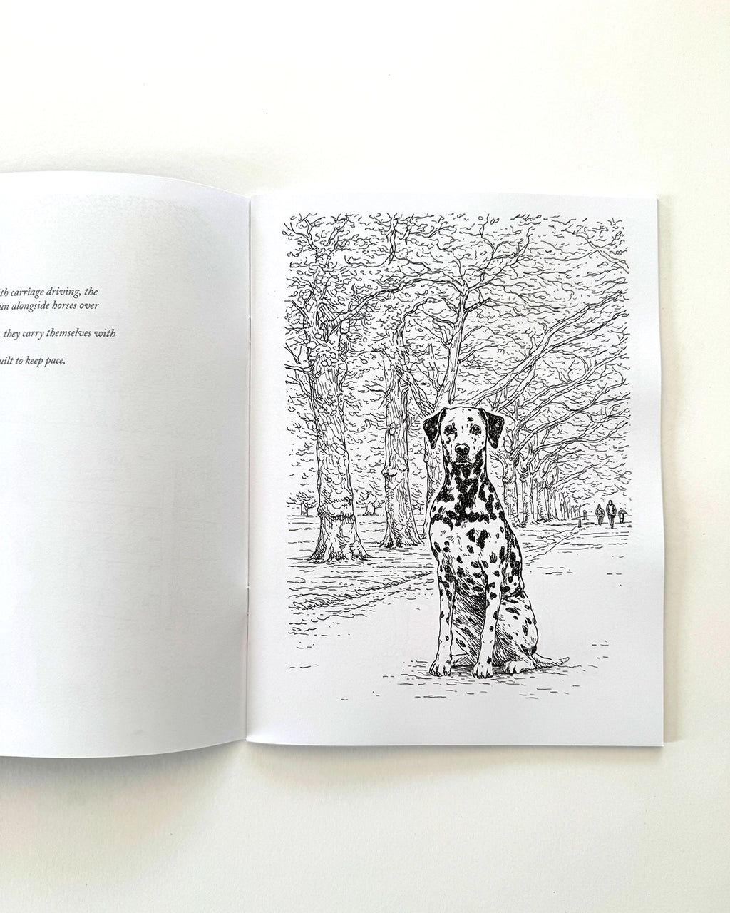 Dogs - Large Format Colouring Book
