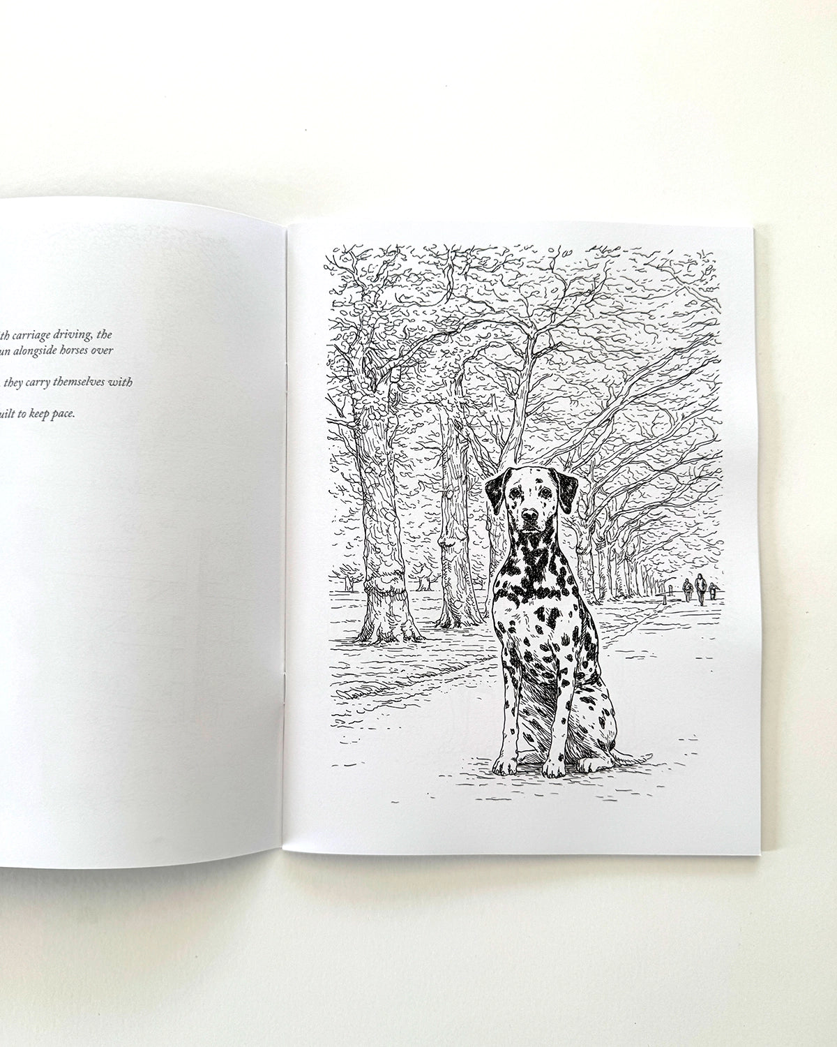 Dogs - Large Format Colouring Book