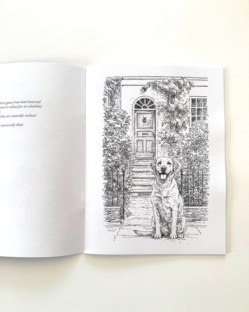 Dogs - Large Format Colouring Book