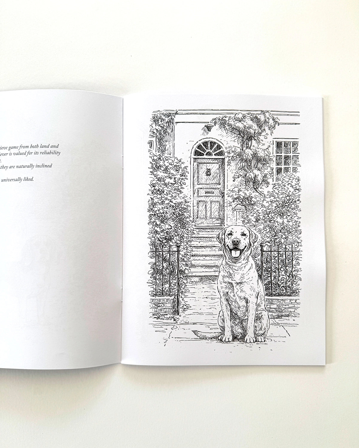 Dogs - Large Format Colouring Book