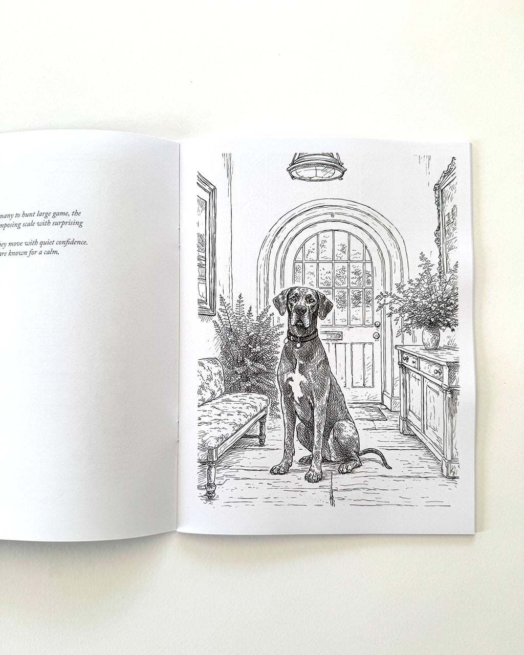 Dogs - Large Format Colouring Book