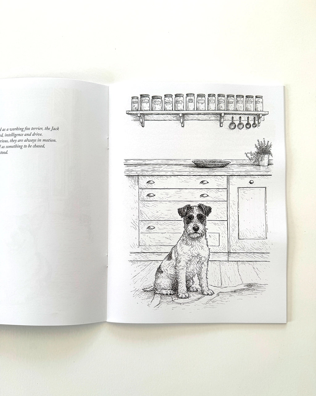 Dogs - Large Format Colouring Book