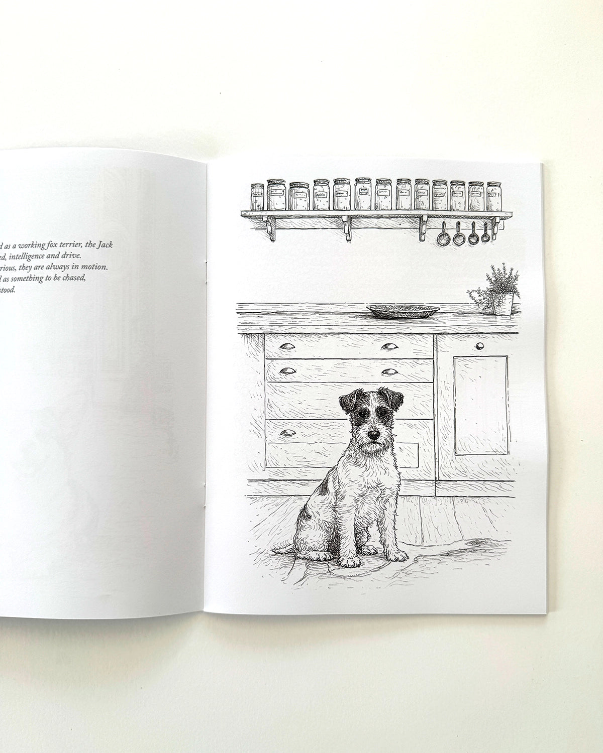 Dogs - Large Format Colouring Book