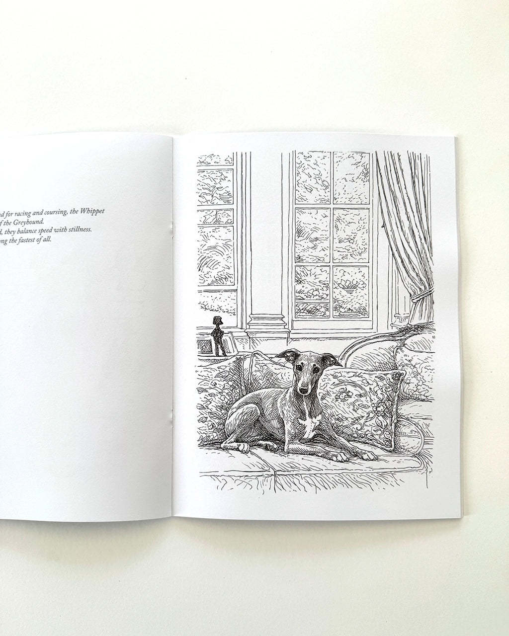 Dogs - Large Format Colouring Book