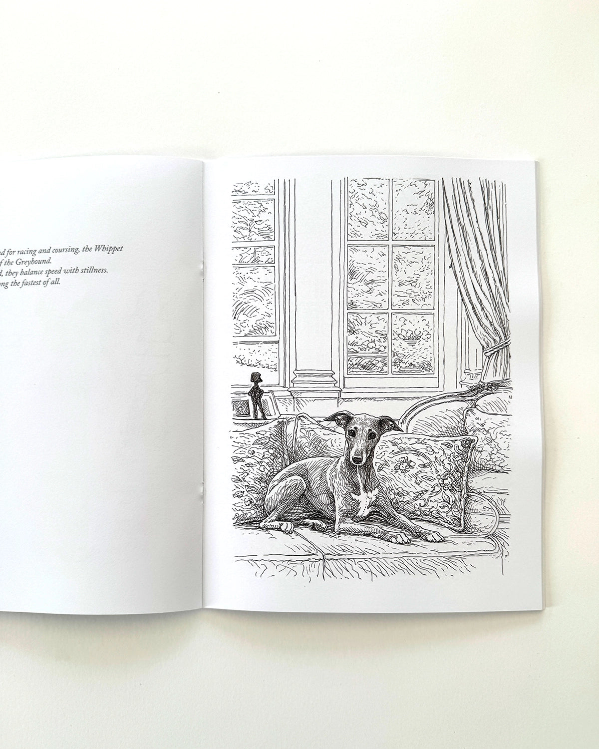 Dogs - Large Format Colouring Book