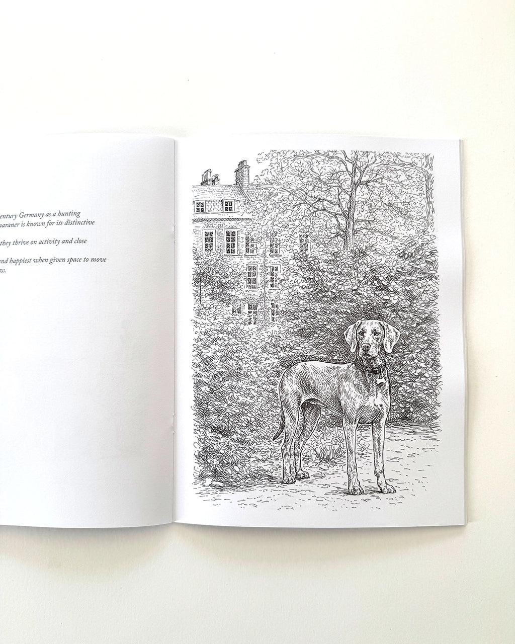 Dogs - Large Format Colouring Book