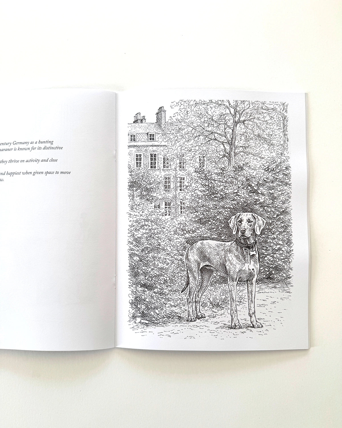 Dogs - Large Format Colouring Book