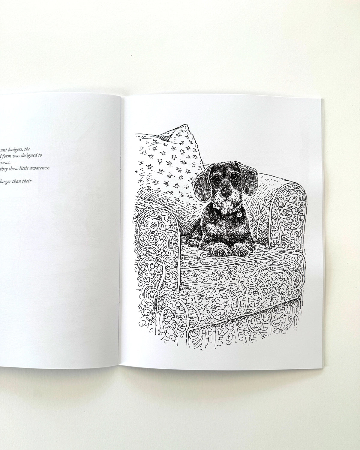 Dogs - Large Format Colouring Book