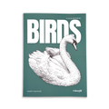 Birds - Large Format Colouring Book