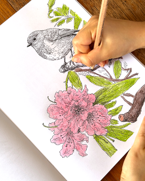 Birds - Large Format Colouring Book