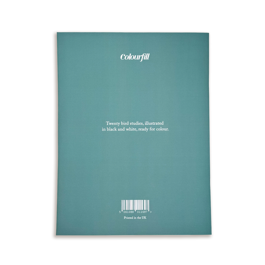 Birds - Large Format Colouring Book