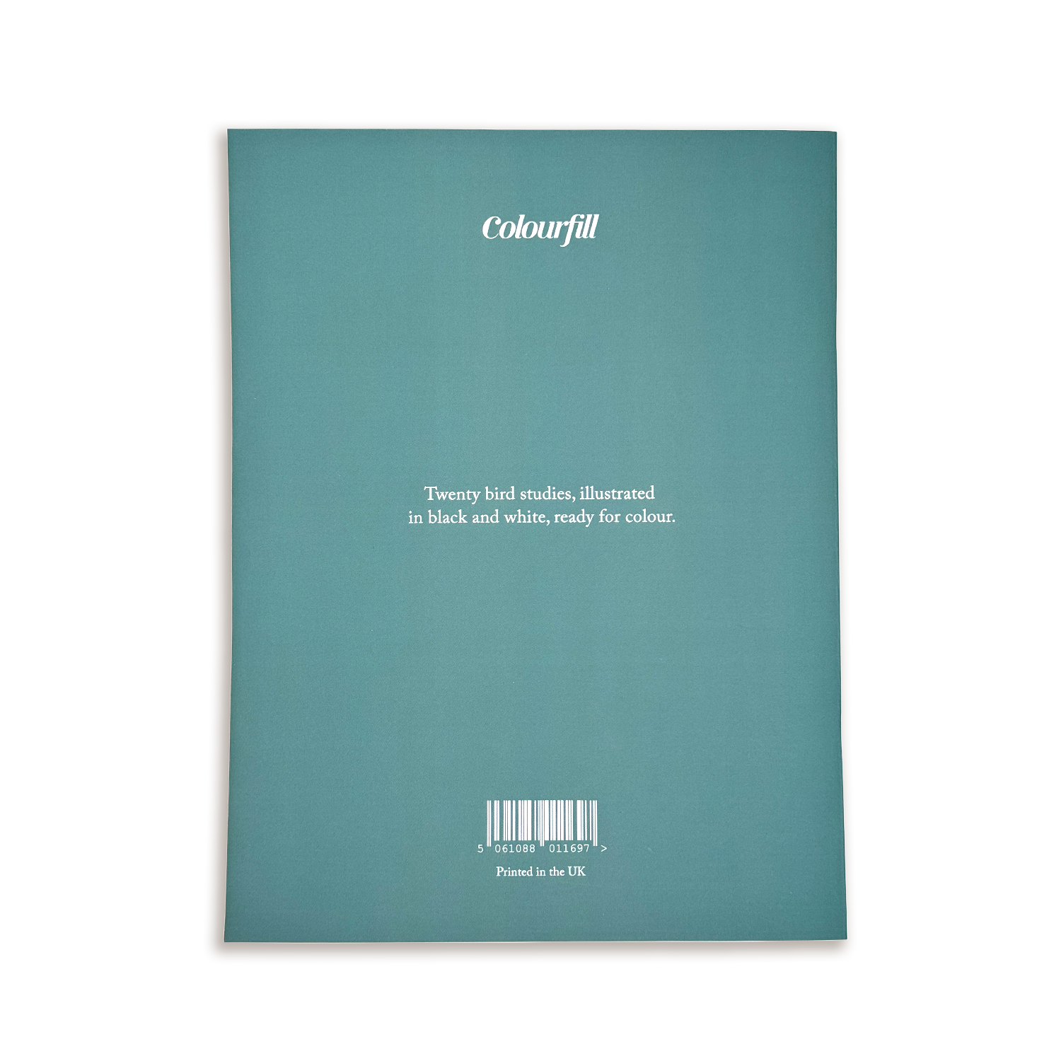 Birds - Large Format Colouring Book