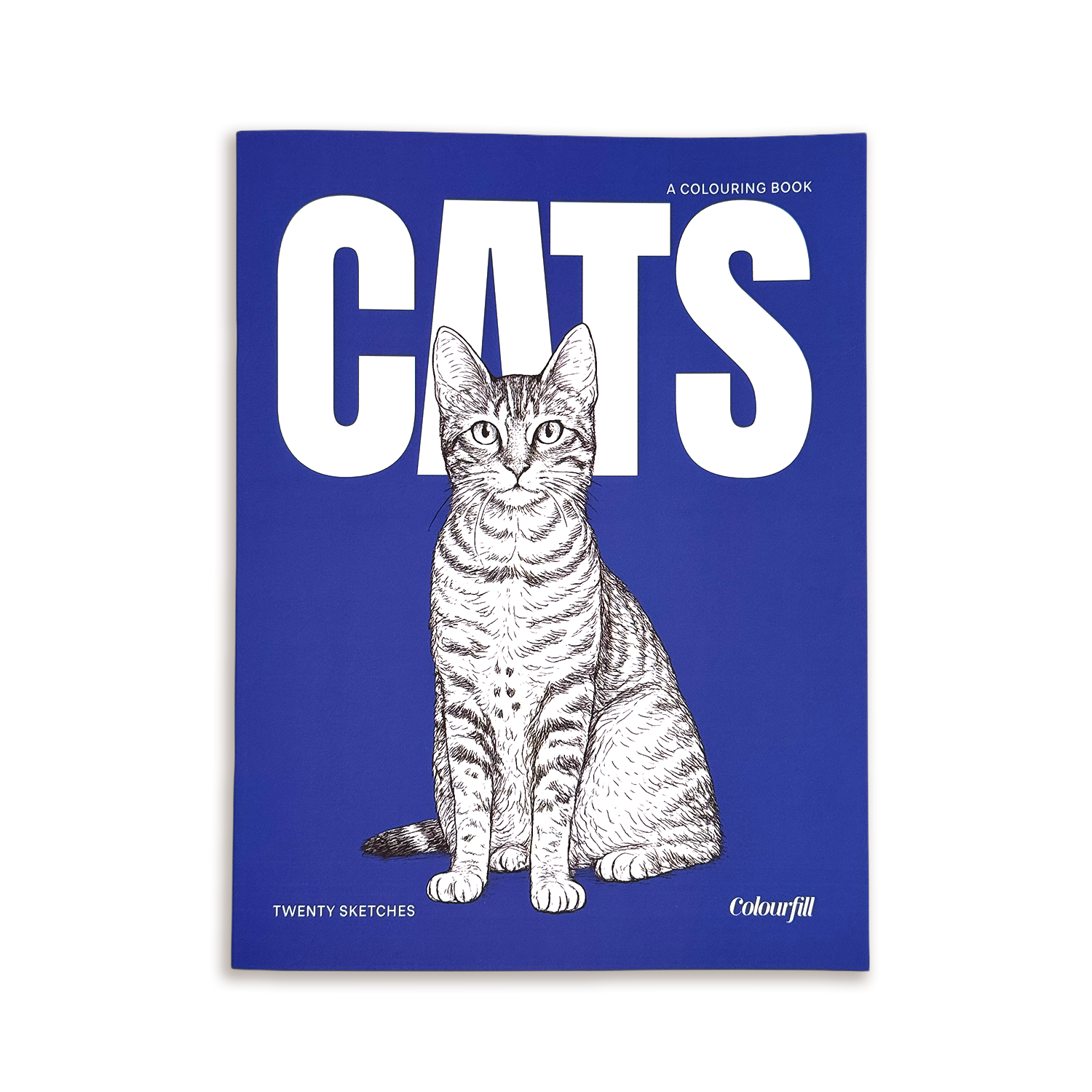 Cats - Large Format Colouring Book