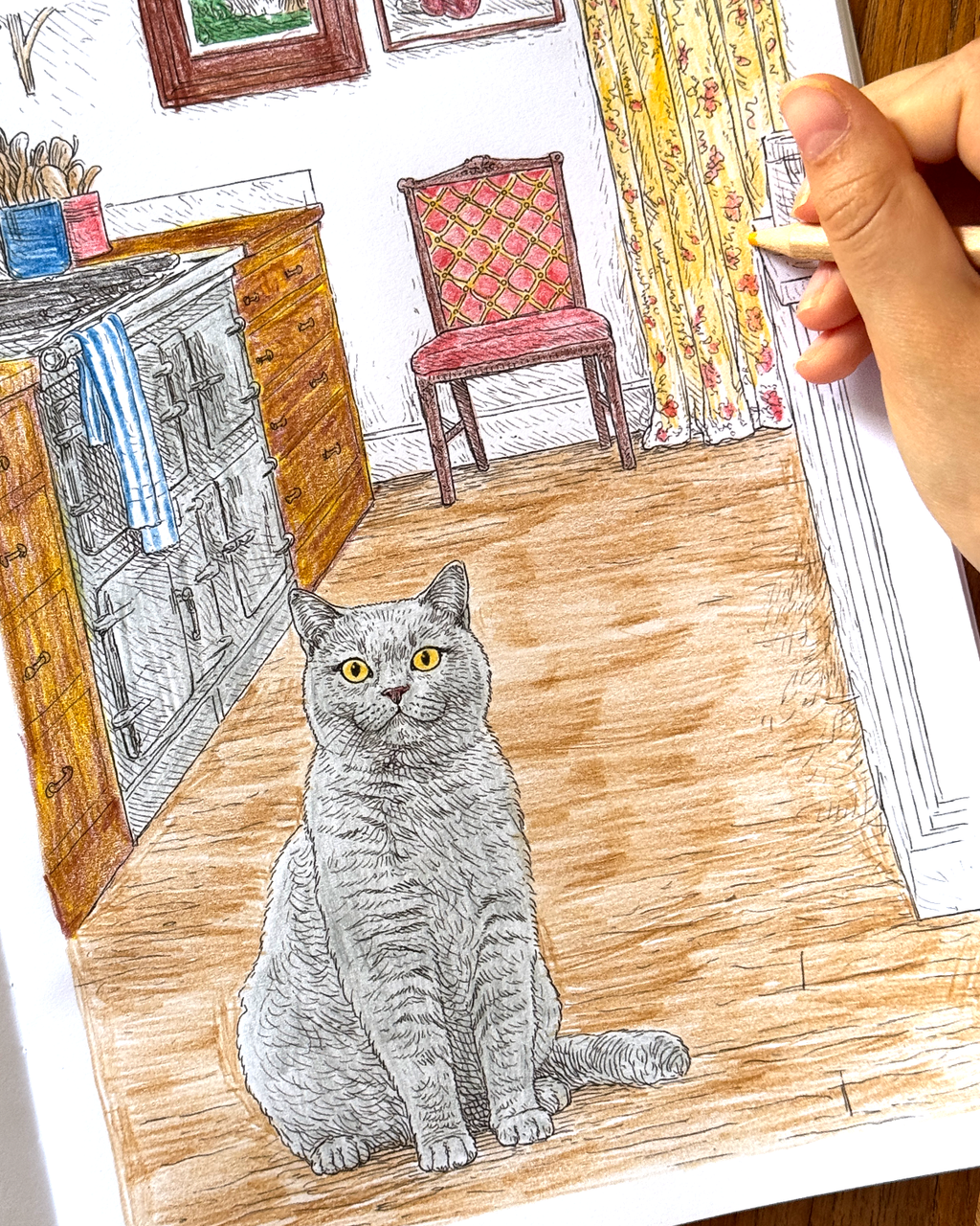 Cats - Large Format Colouring Book