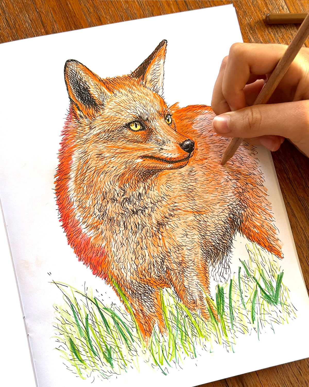 Country - Large Format Colouring Book
