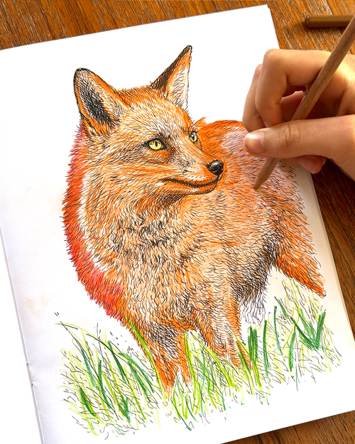 Country - Large Format Colouring Book