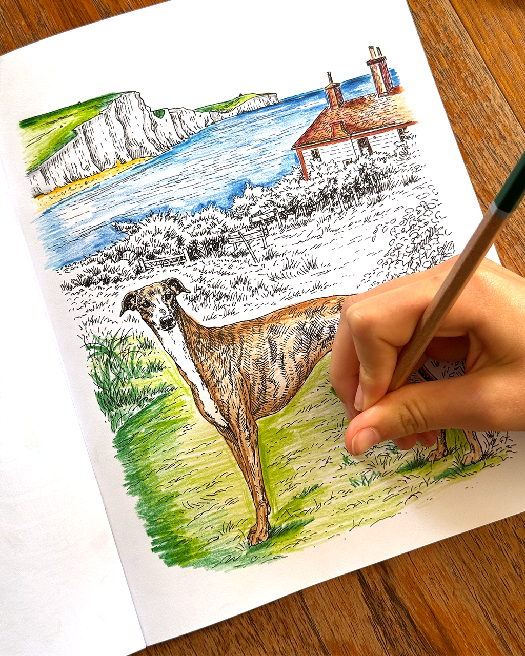 Dogs - Large Format Colouring Book