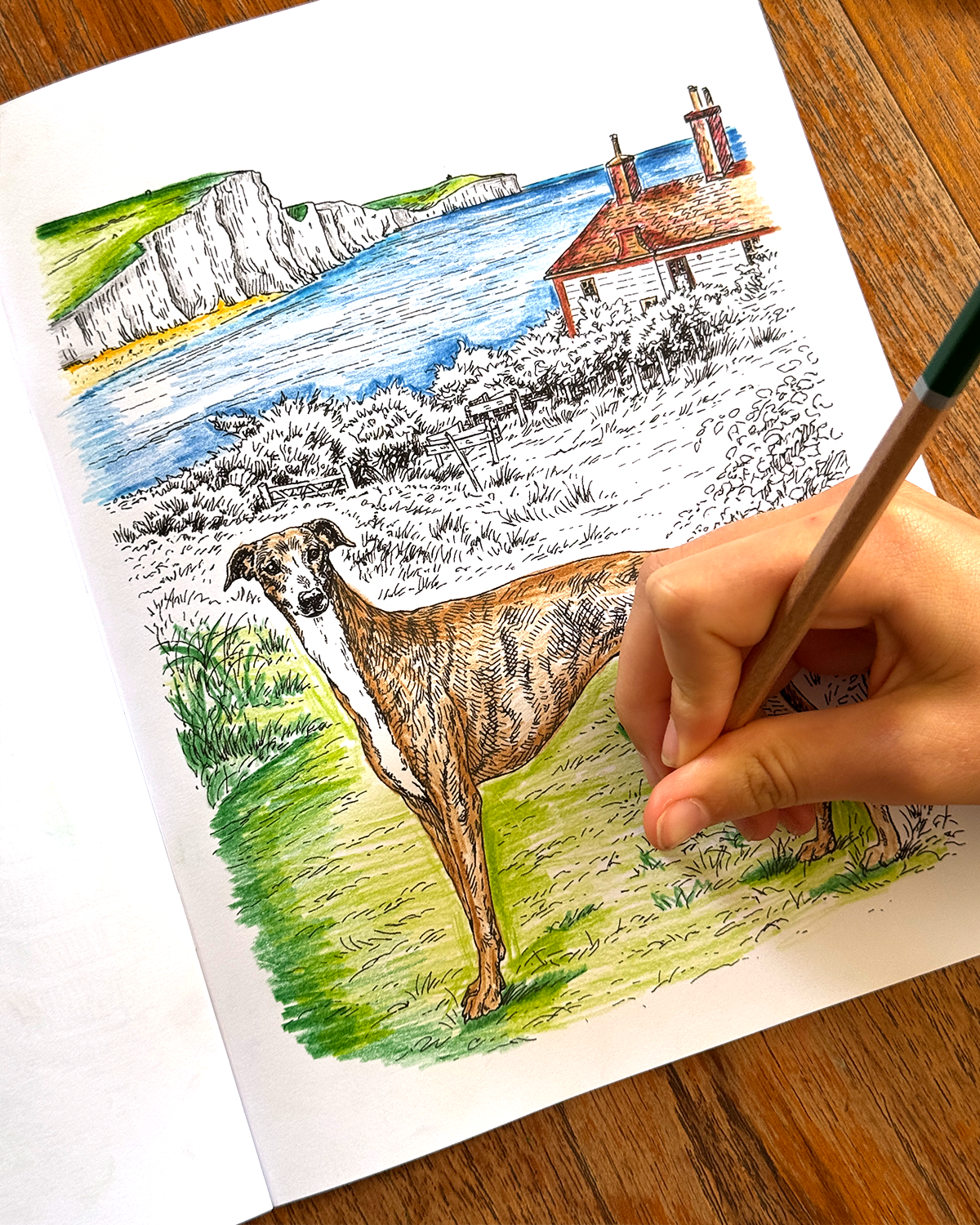 Dogs - Large Format Colouring Book