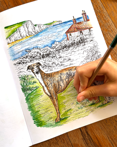 Dogs - Large Format Colouring Book