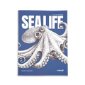 Sea Life - Large Format Colouring Book