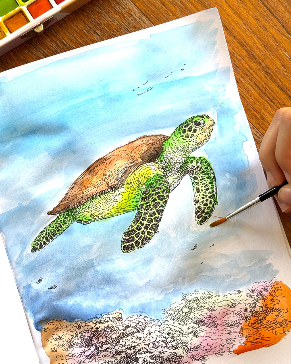 Sea Life - Large Format Colouring Book